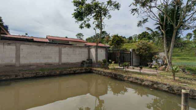 WhatsApp Image 2026-02-18 at 8.36.50 AM