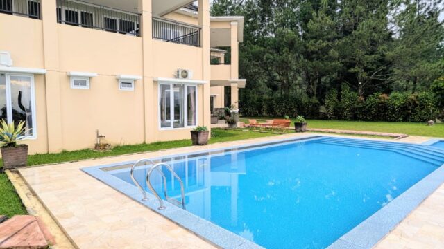 56cfa3e4-2caf-409e-8828-c60238c0106f