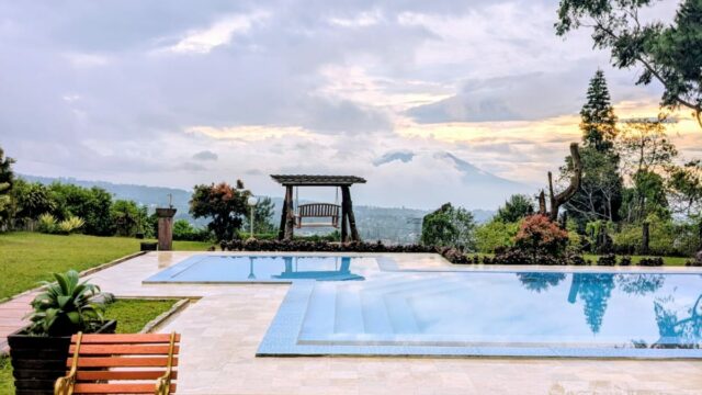 6e85d32f-33b0-430c-9c55-d1d4ef46f5a6