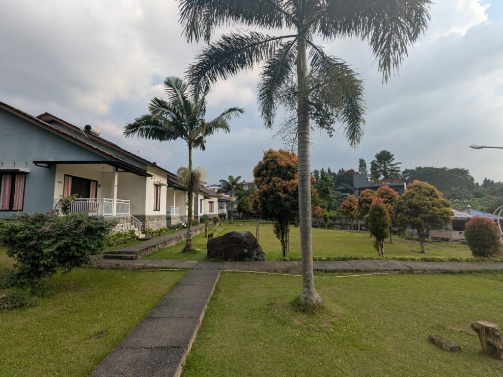 WhatsApp Image 2026-03-31 at 8.50.22 PM