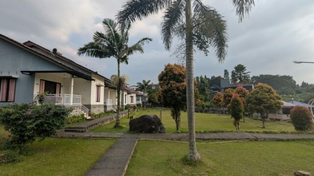 WhatsApp Image 2026-03-31 at 8.50.22 PM