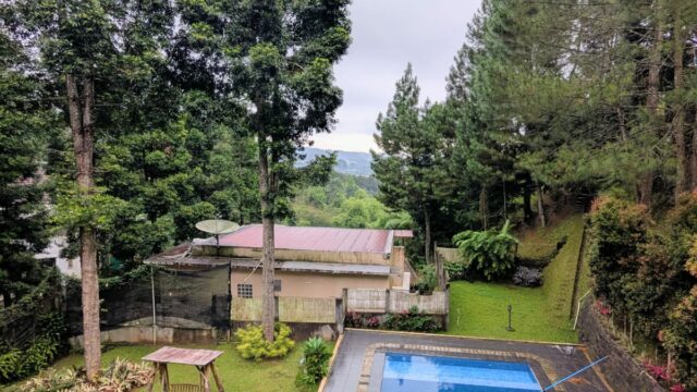 cc7cd7e5-492d-40d5-ad64-8fdfd4d38283